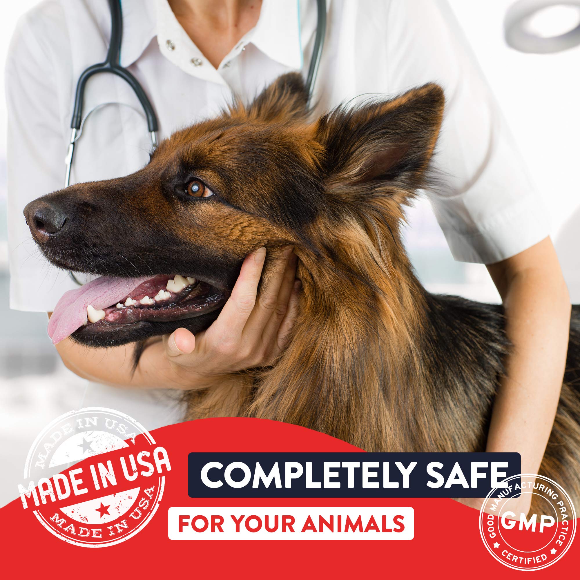 Geneflora dog probiotic powder with scoop aids proper dosage and gut balance.