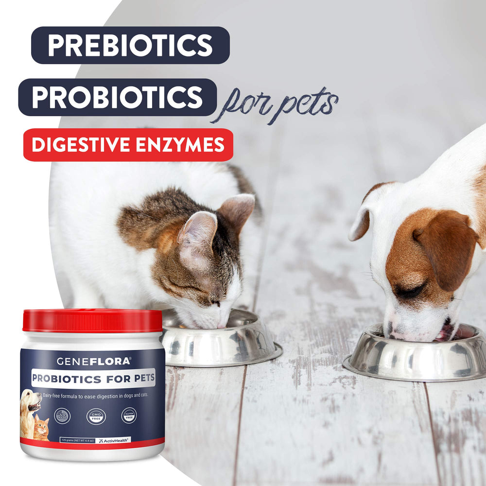 Geneflora probiotic blend for itchy skin and ears supports comfort.