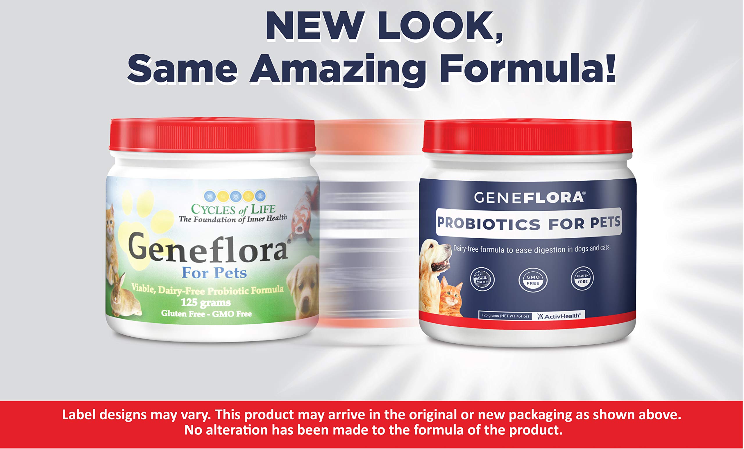 Geneflora probiotics for dogs bottle supports gut health and immune resilience.