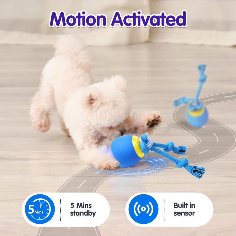 Generic Interactive Dog Ball chirp-sounds feature engages dogs during play.