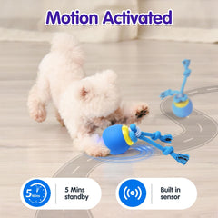 Generic Interactive Dog Ball chirp-sounds feature engages dogs during play.