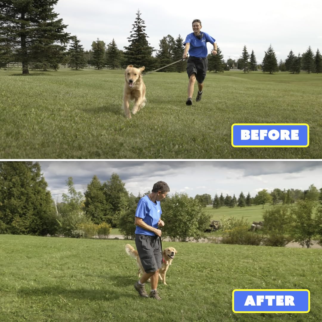 Generic Barks No More device battery inside highlighting ready-to-use training aid.