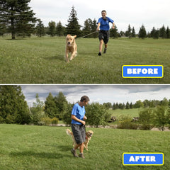 Generic Barks No More device battery inside highlighting ready-to-use training aid.