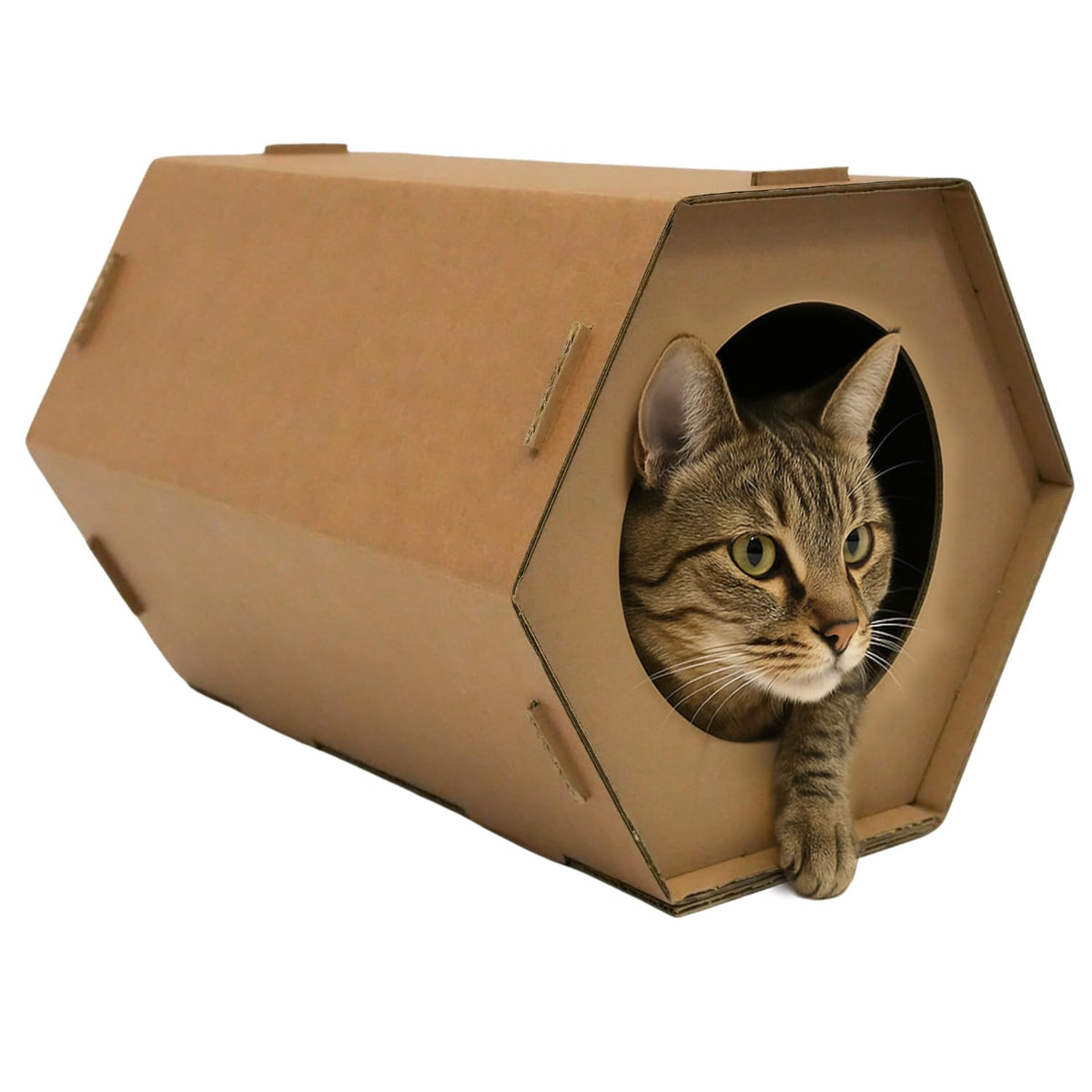 Generic Cardboard Cat House folded hexagon shows quick setup and portable hideaway for indoor cats.