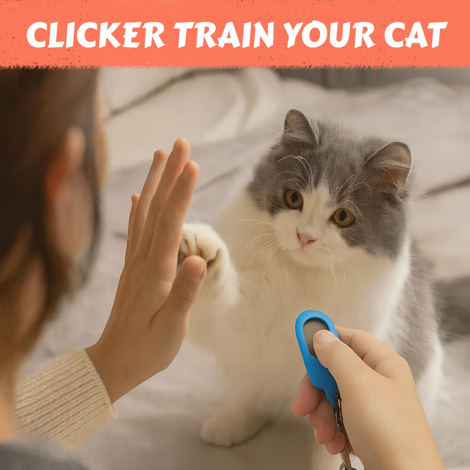 Generic Cat Clicker Training Kit cat using skateboard trick illustrates playful bonding.