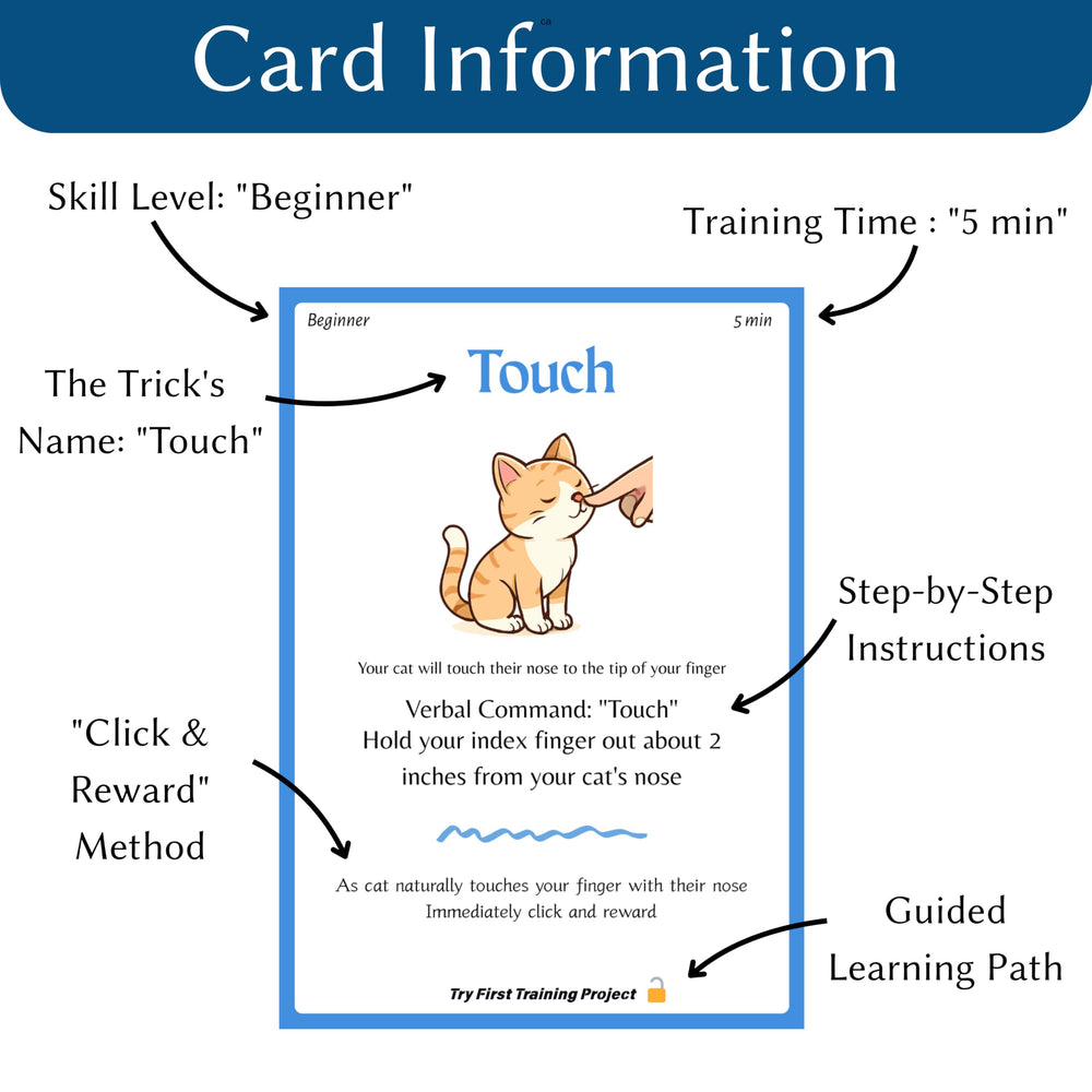 Generic Cat Clicker Training Kit clicker in hand enables positive reinforcement sessions.