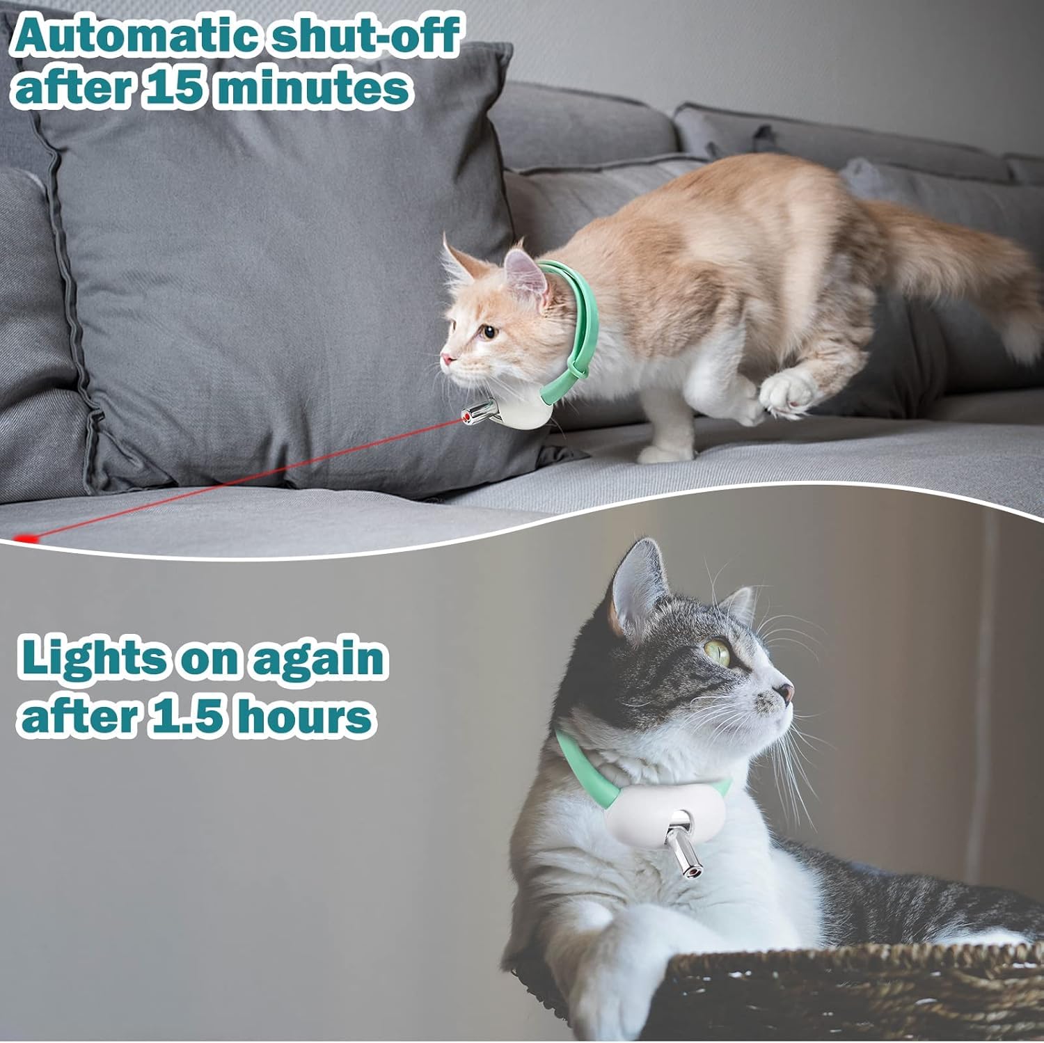 Generic cat laser collar two light modes for varied cat interests.