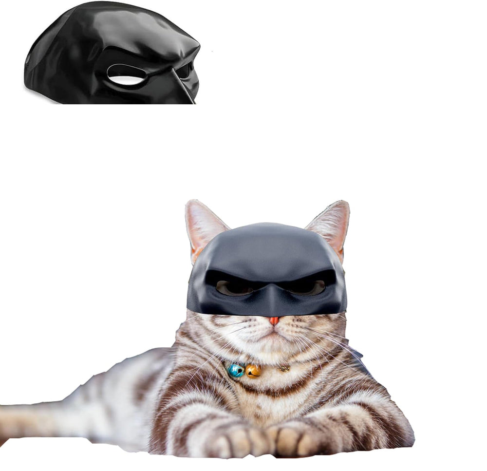 Generic Cat Mask cosplay look with cat ears on cat demonstrates quick transformation.