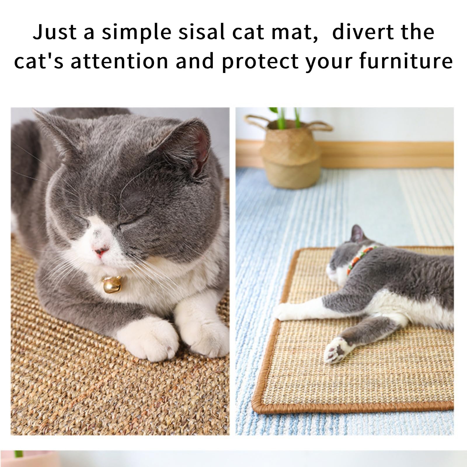 Generic Cat Scratcher Mat doubles as a cozy bed for kittens and cats