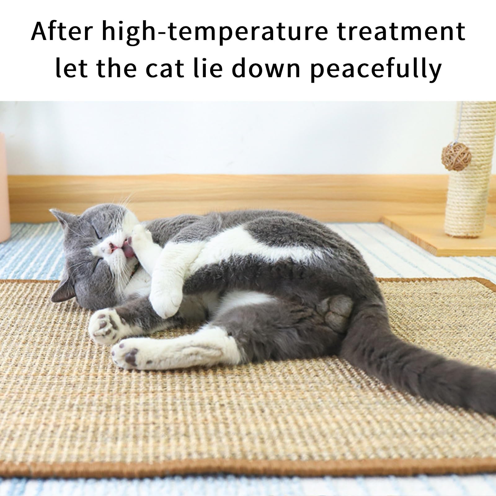 Generic Cat Scratcher Mat protects furniture by redirecting claws to natural fibers