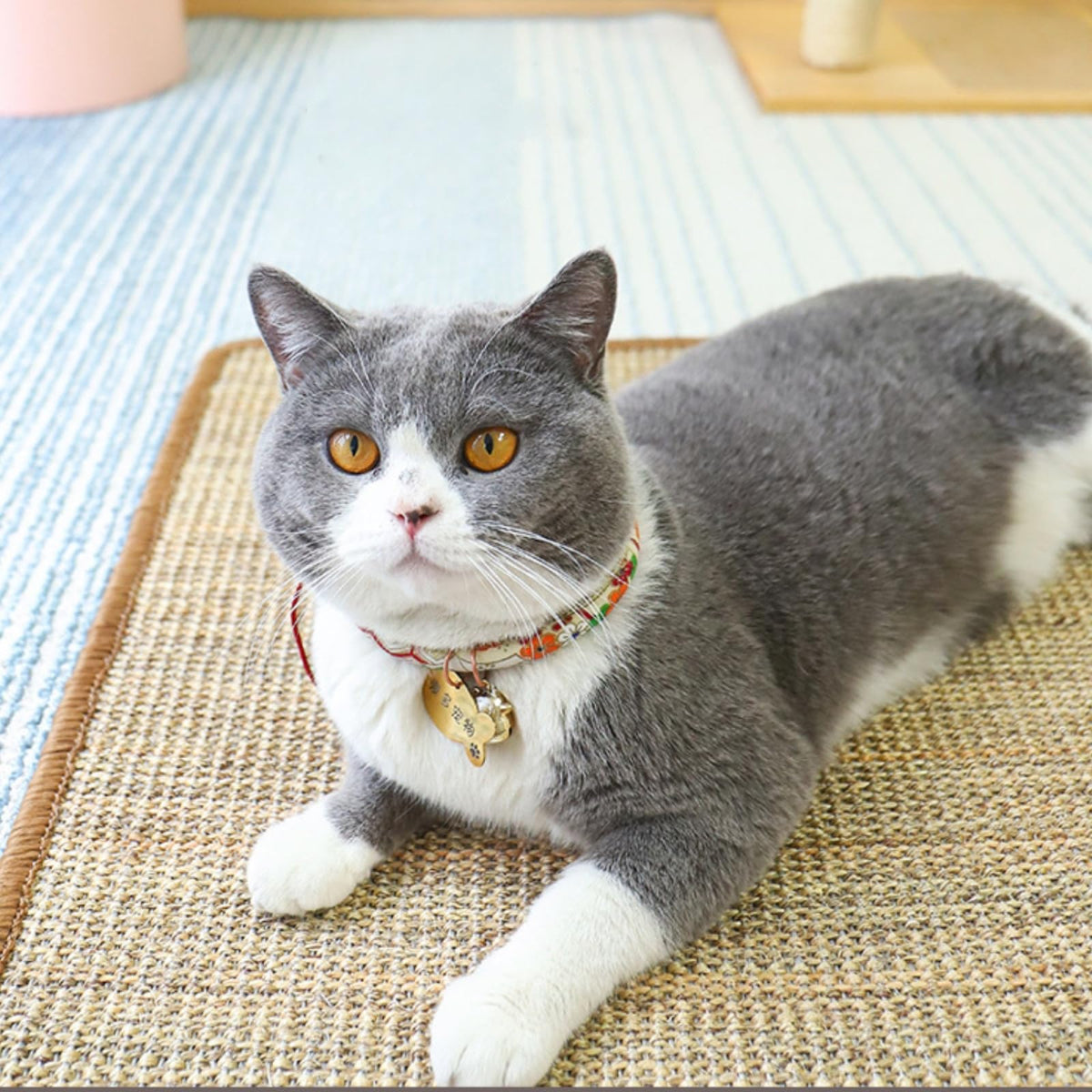 Generic Cat Scratcher Mat shows sisal weave for durable scratching and furniture protection