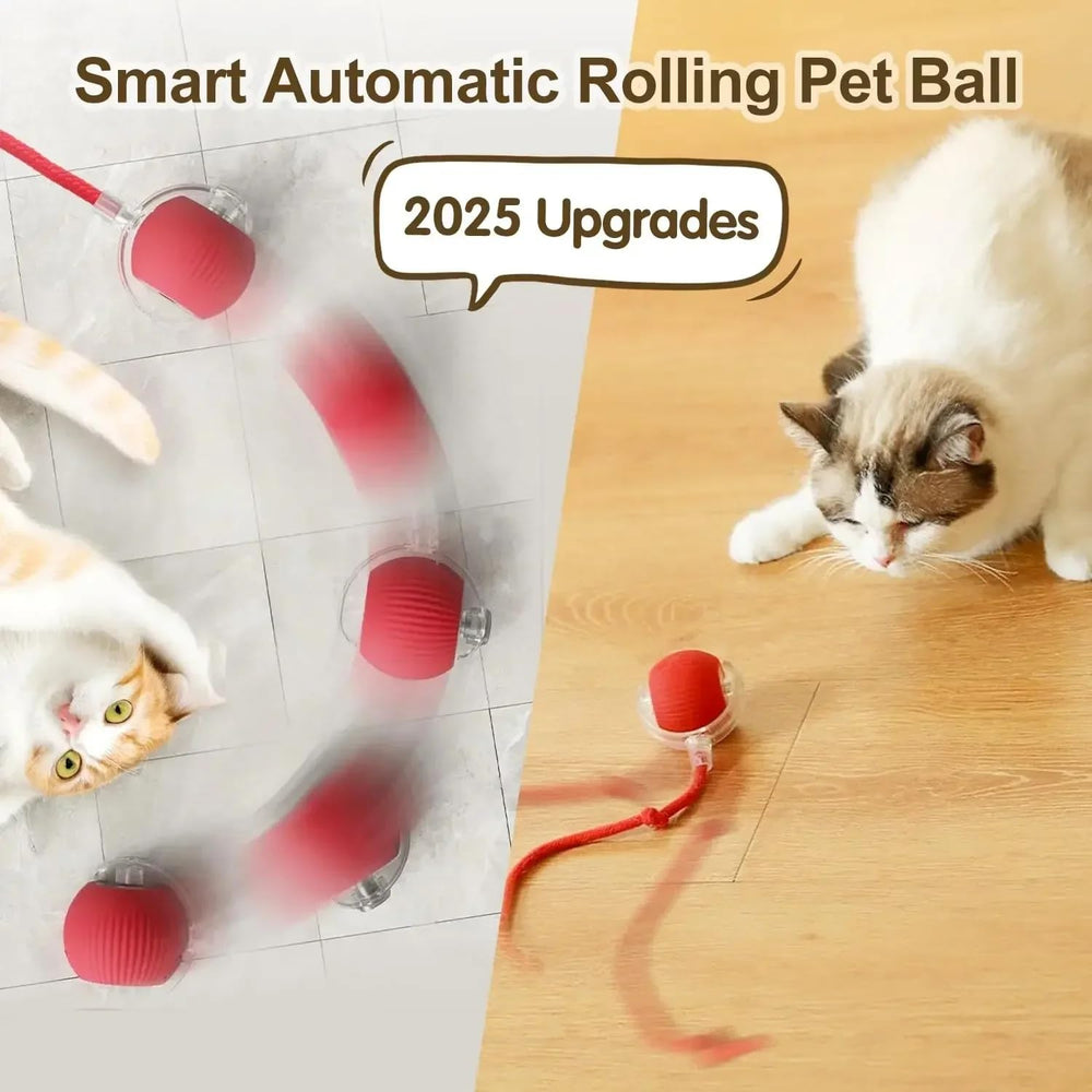 Generic Cat Smart Rolling Ball catnip-infused components attract cats and encourage active exploration.