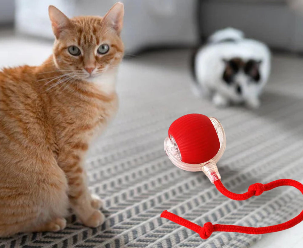 Generic Cat Smart Rolling Ball ideal for indoor cats and playful kittens to stay engaged.