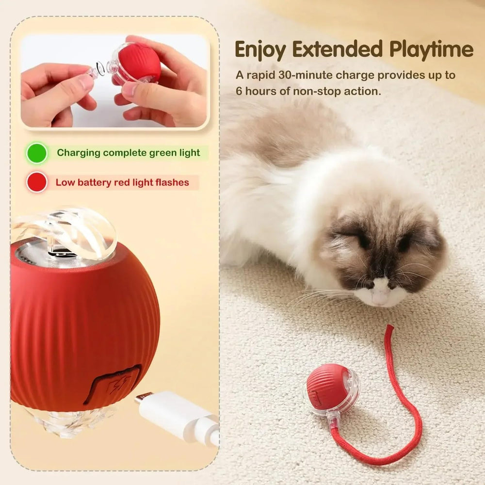 Generic Cat Smart Rolling Ball rechargeable for continuous indoor entertainment and effortless recharging.