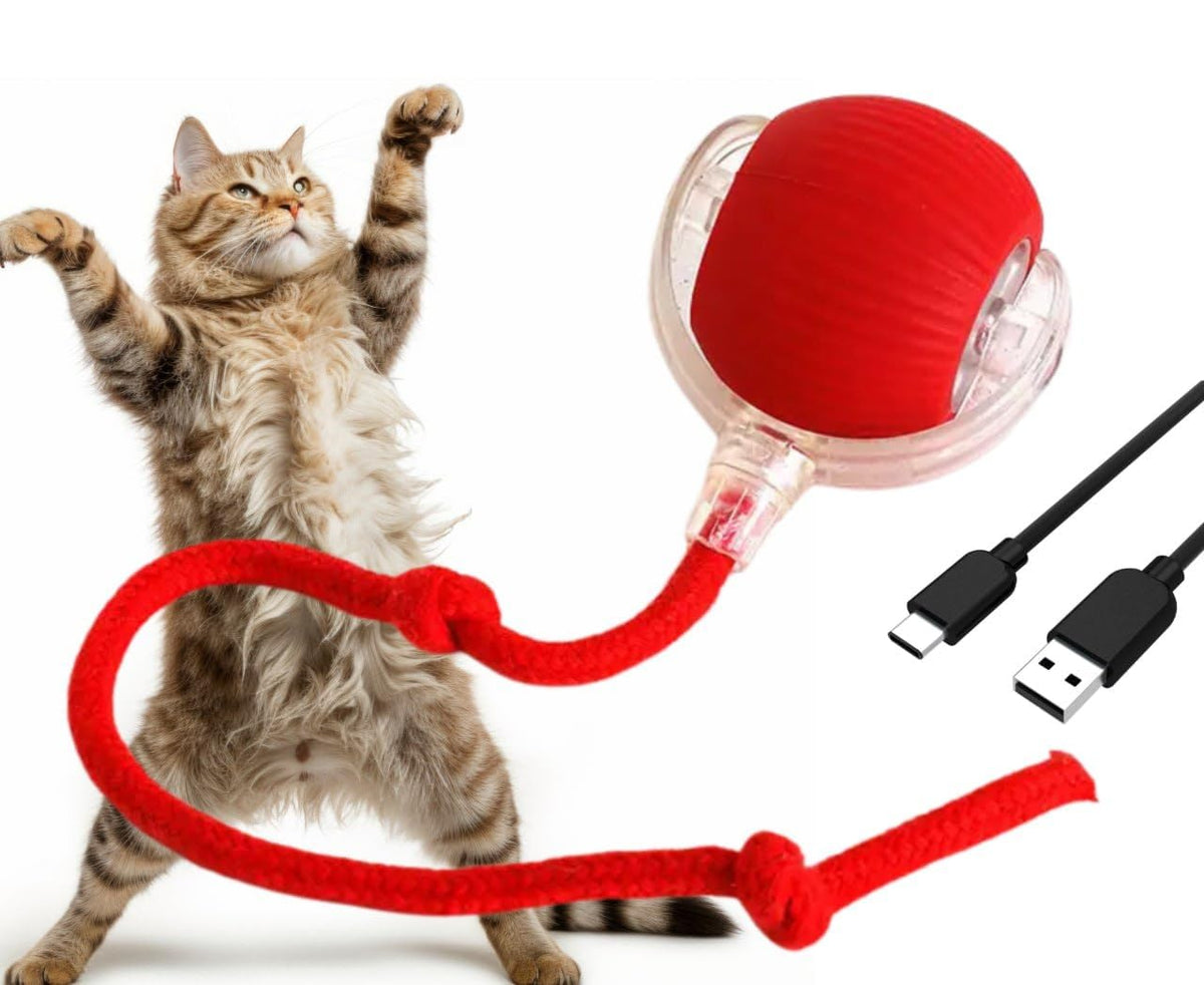 Generic Cat Smart Rolling Ball with red LED lights enhances indoor play sessions.