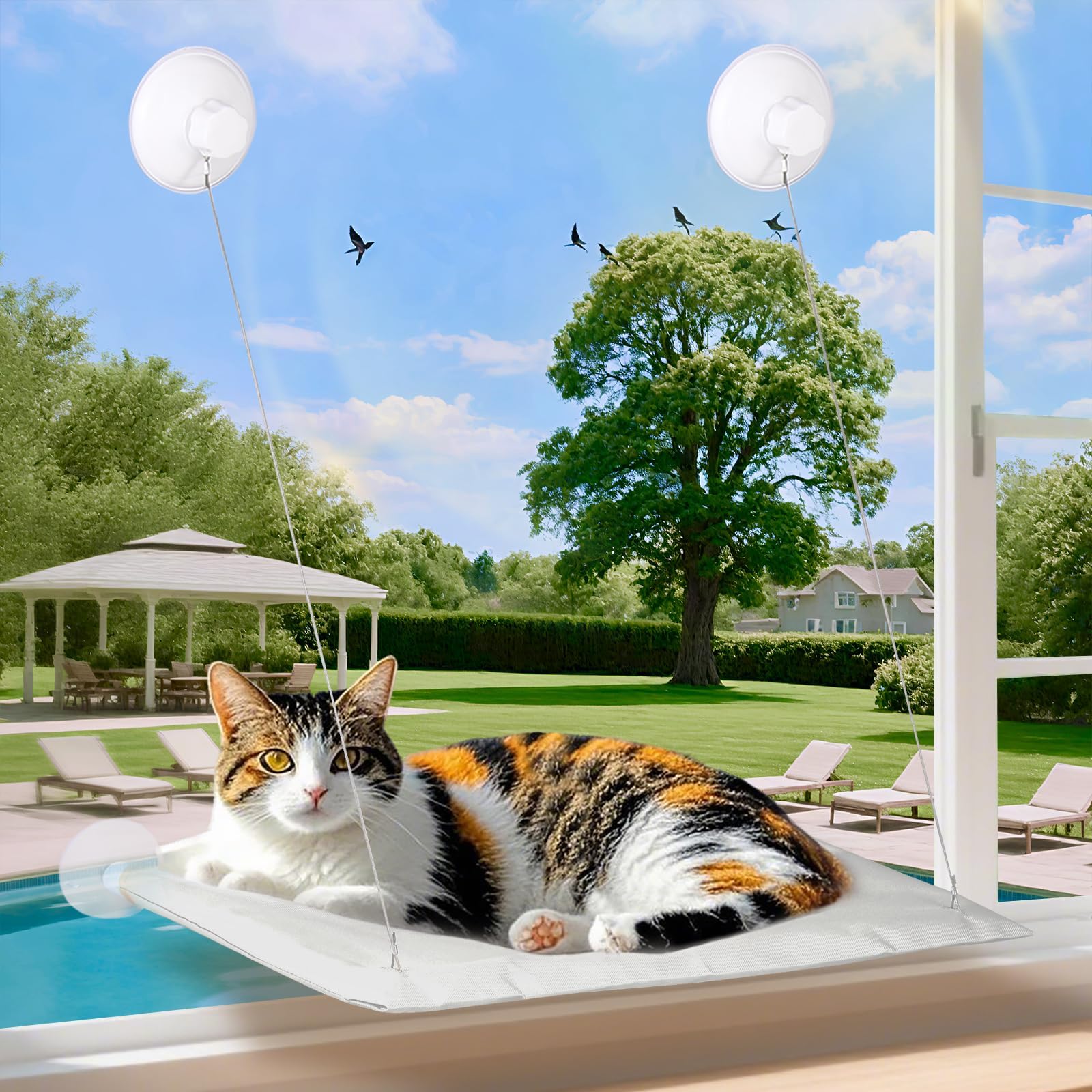 Generic Cats Window Perch Gray Variant offers a stylish sunlit retreat for calm naps