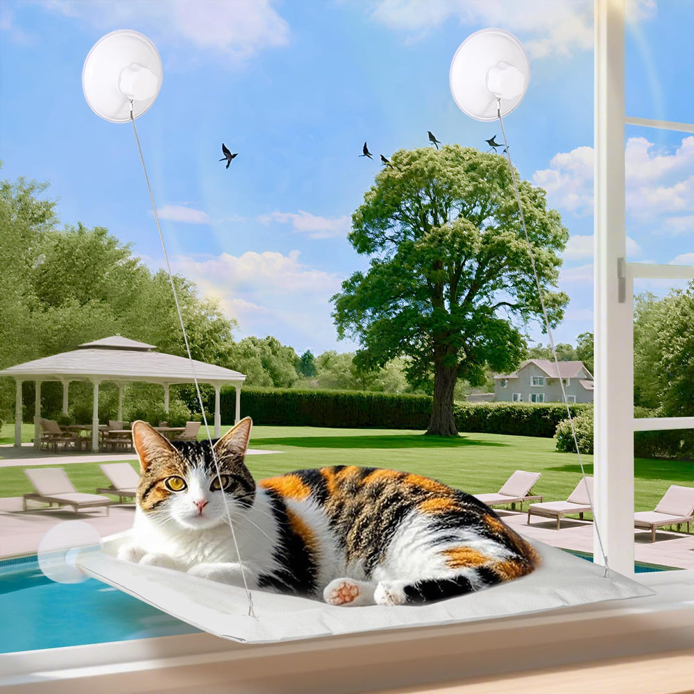 Generic Cats Window Perch Gray Variant offers a stylish sunlit retreat for calm naps