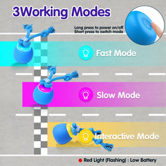 Generic Interactive Dog Ball in motion shows a dog chasing for exercise.