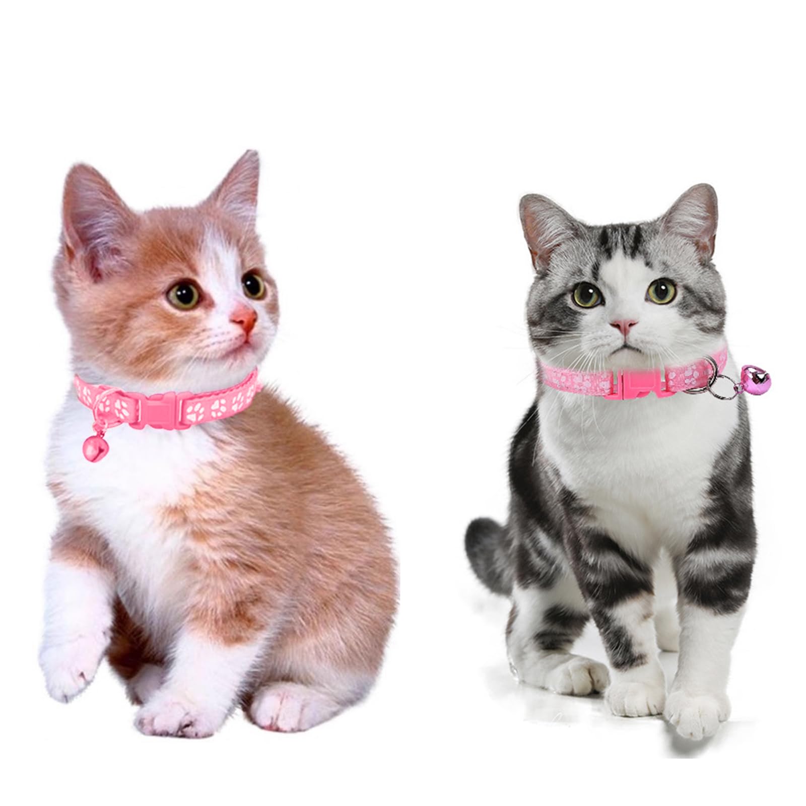 Generic dog collar-leash color-set image shows pink, green, blue ready for litter walks and training.