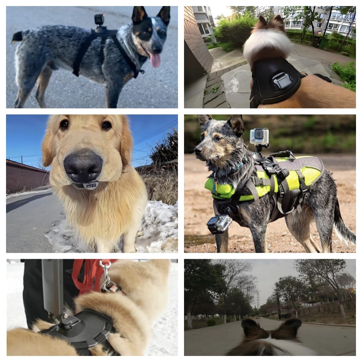 Generic Dog Harness Mount for Camera adjustable strap provides secure fit for medium to large dogs.