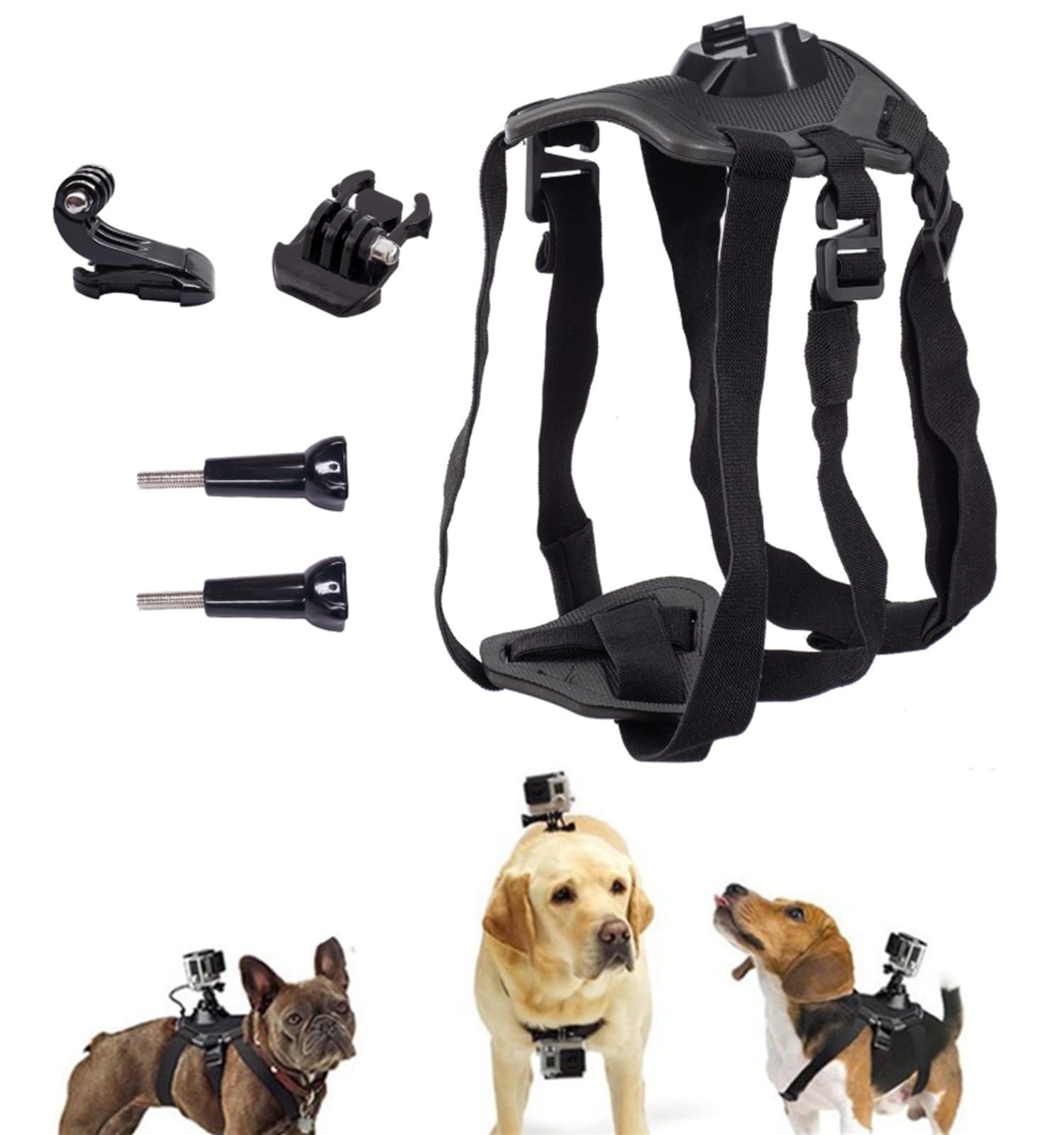 Generic Dog Harness Mount for Camera back view enables hands-free action footage on trails.