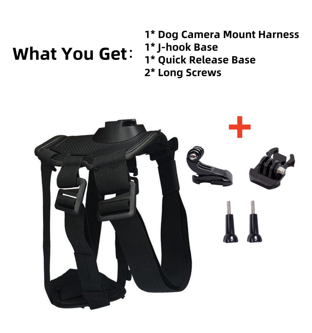 Generic Dog Harness Mount for Camera in-use-dog-park demonstrates hands-free footage during active play.