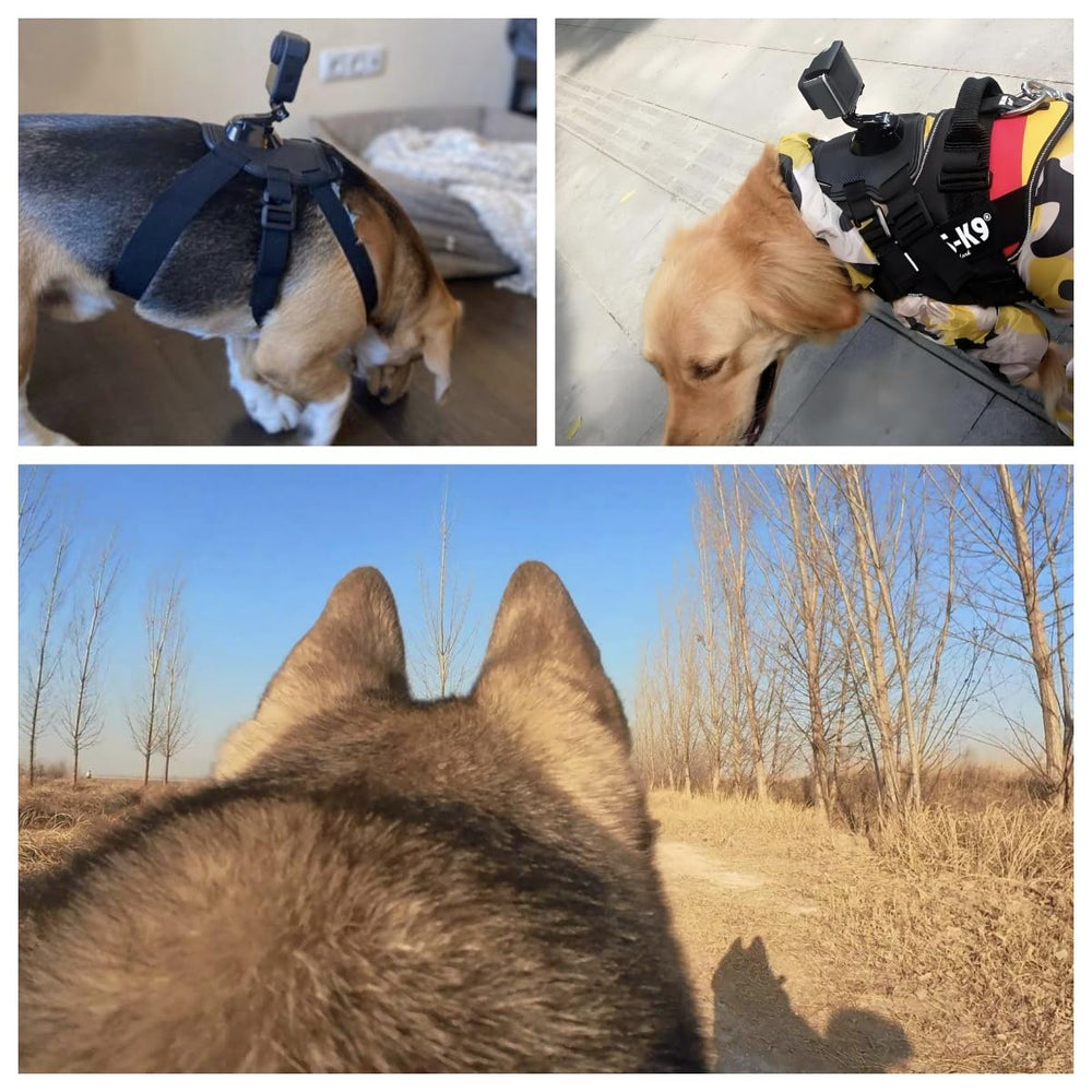 Generic Dog Harness Mount for Camera padded surface emphasizes comfortable contact during long play sessions.