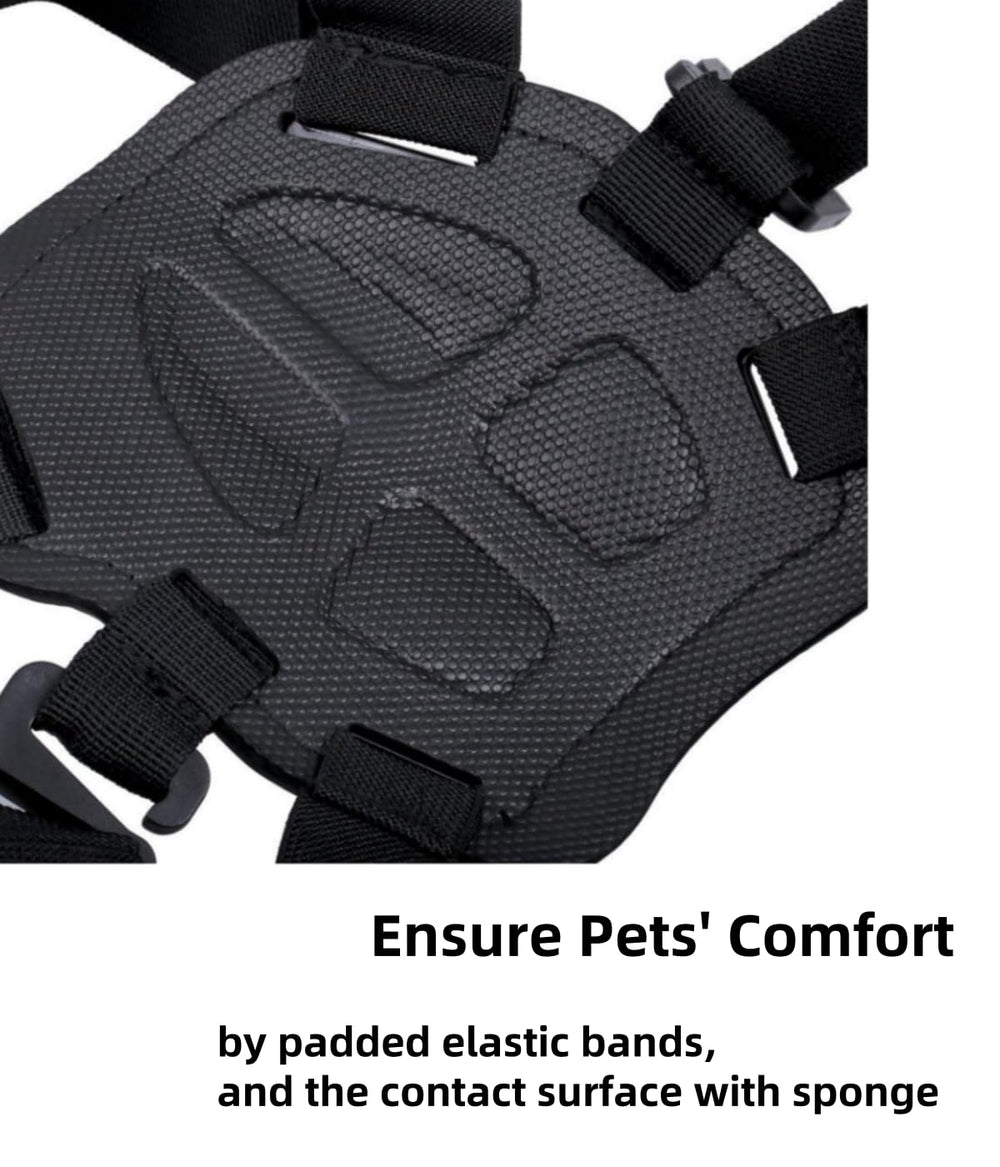 Generic Dog Harness Mount for Camera quick-release base highlights fast camera swaps during adventures.