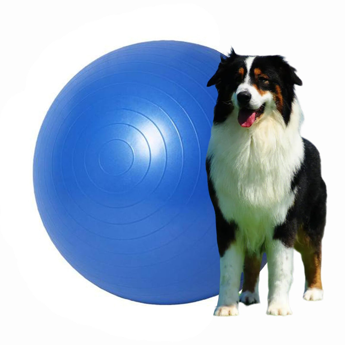 Generic Herding Ball 25inch durability for long-lasting outdoor play