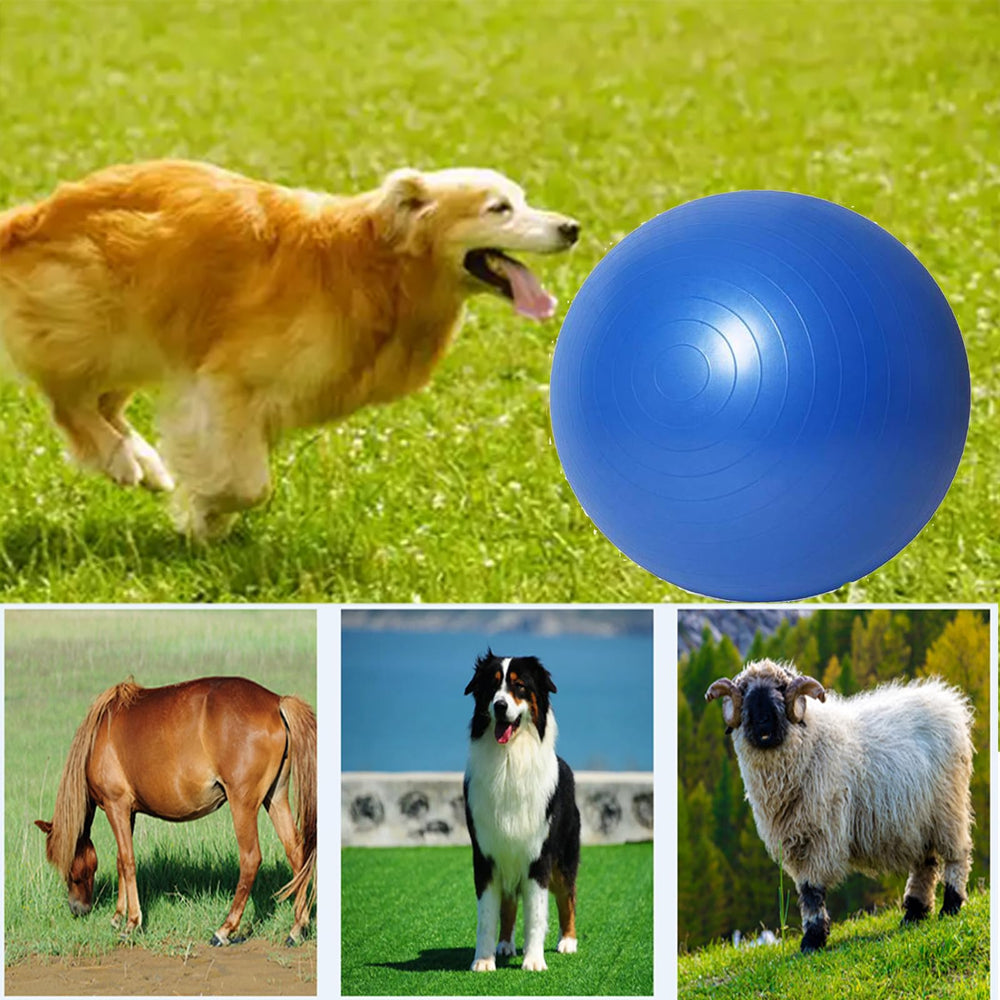 Generic Herding Ball 25inch eco-friendly material promotes safe outdoor fun