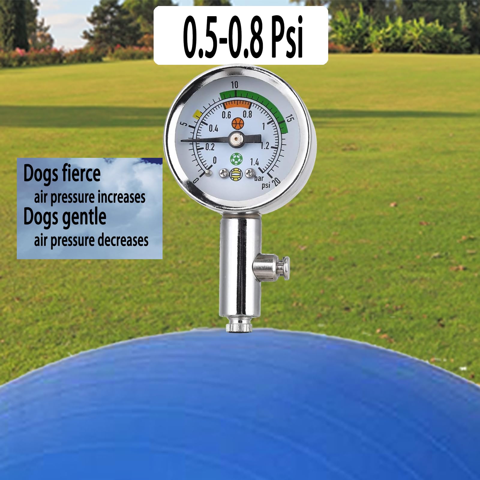 Generic Herding Ball 25inch inflation range 0.5 to 0.8 psi for optimal bounce
