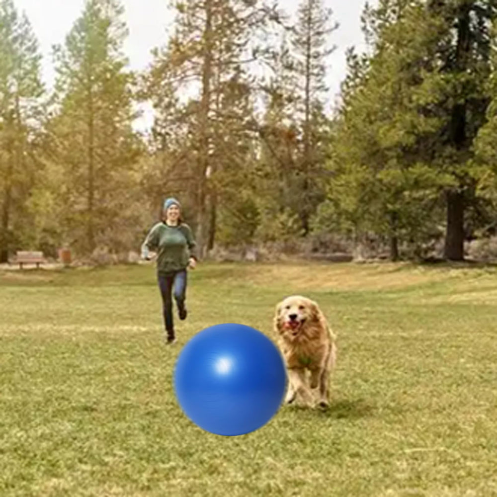 Generic Herding Ball 25inch outdoor play in grass for fetch and chase