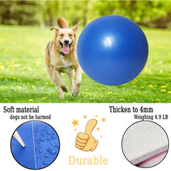 Generic Herding Ball 25inch cushioned surface protects paws during play
