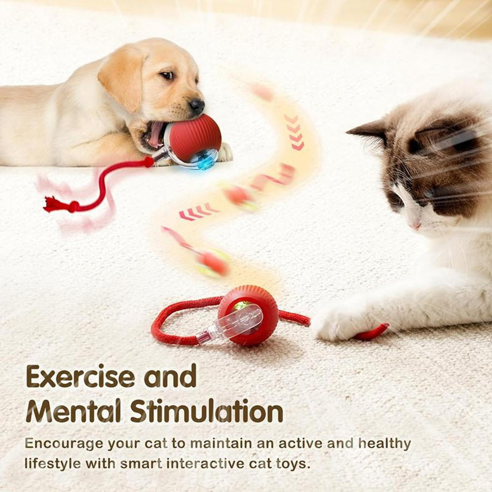 Generic Interactive Cat Ball Crimson AI mode sparks curiosity