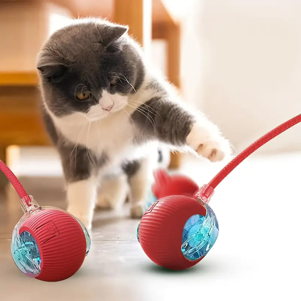 Generic Interactive Cat Ball Crimson easy-clean surface for maintenance