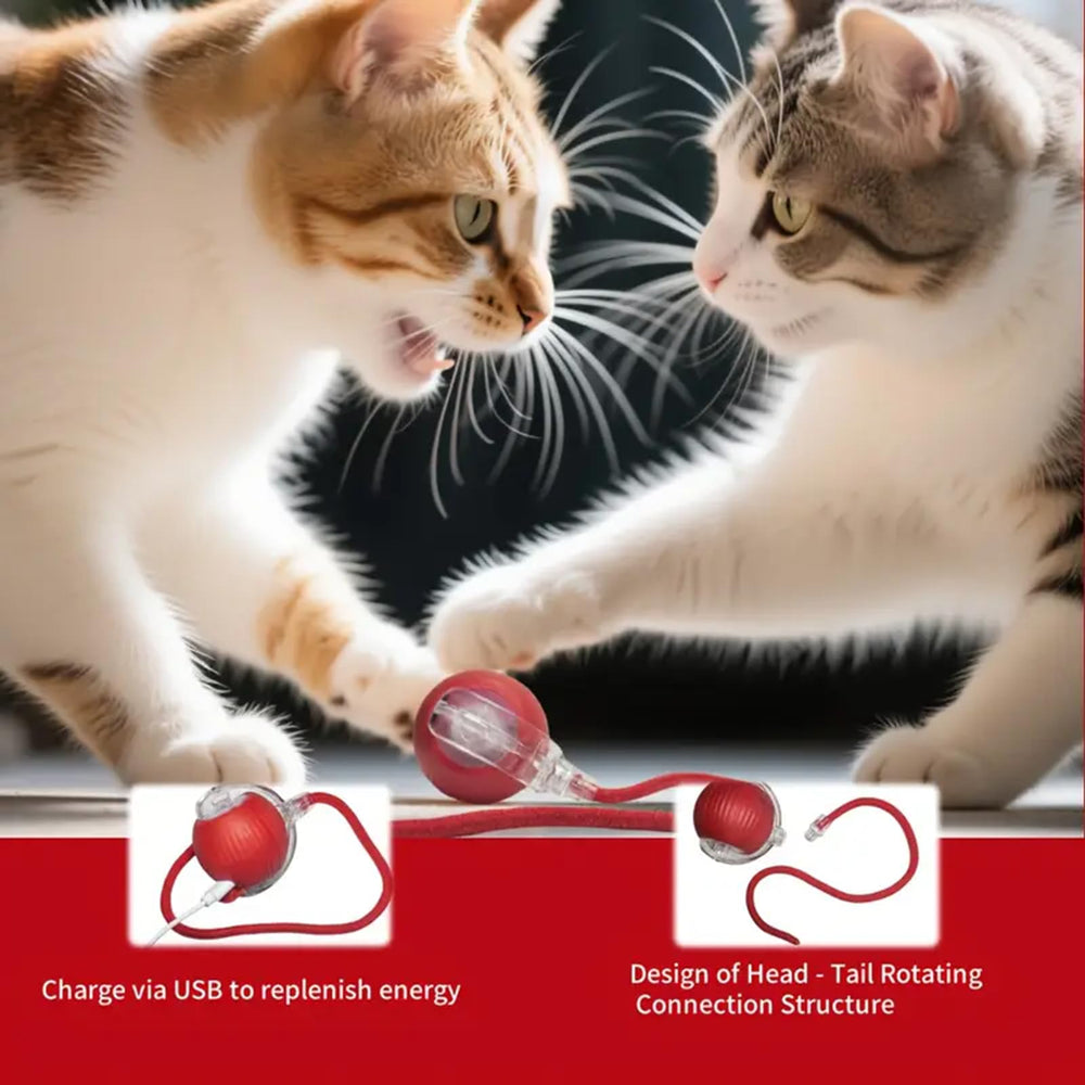Generic Interactive Cat Ball Crimson elastic tail engages hunting