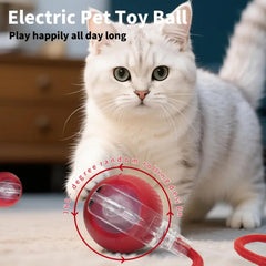 Generic Interactive Cat Ball Crimson side view shows compact design
