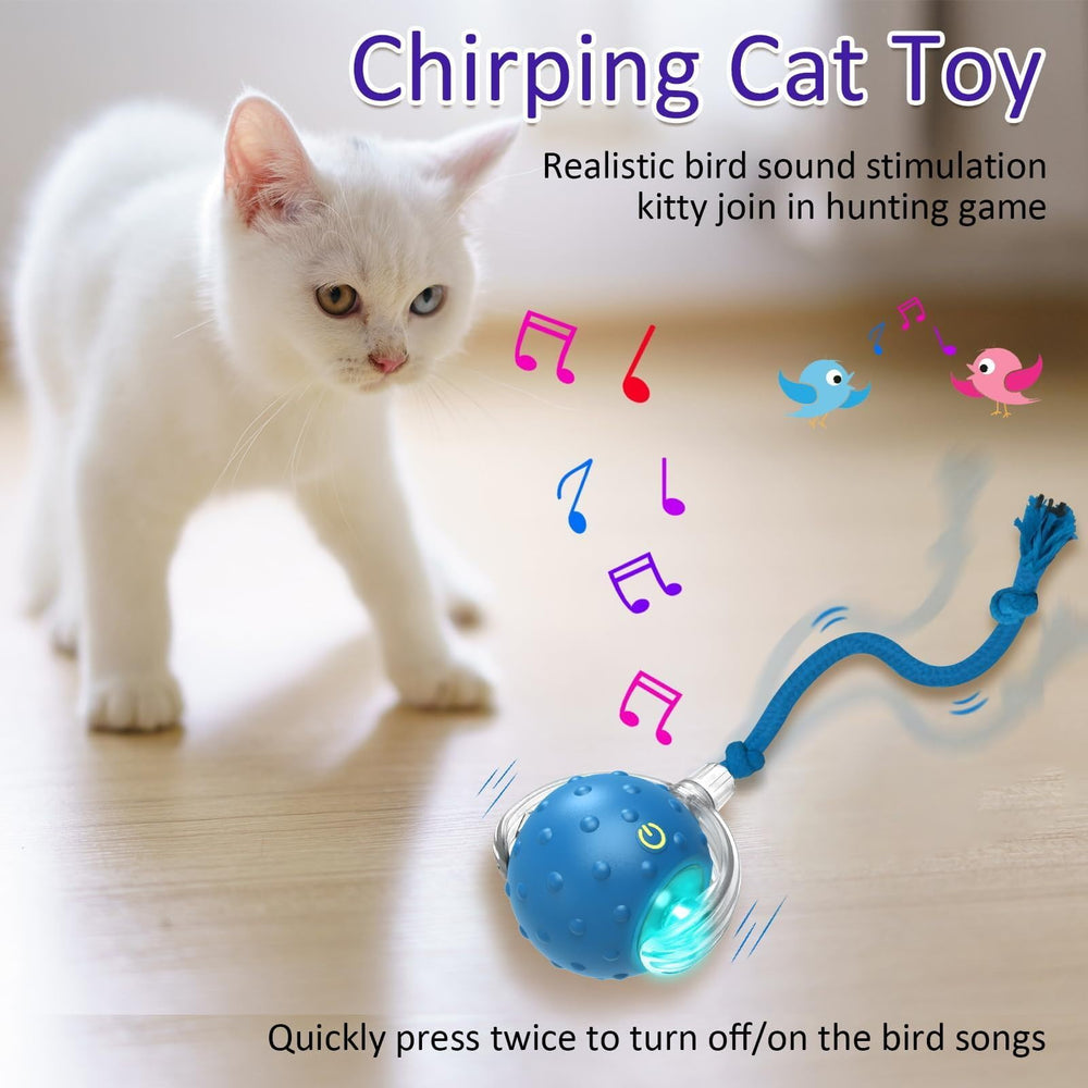 Generic Interactive Cat Toy Ball LED modes indicate fast, slow, and interactive play styles.
