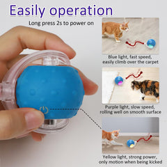 Generic Interactive Cat Toy Ball on carpet demonstrates smooth navigation across surfaces.
