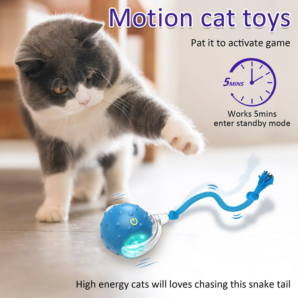 Generic Interactive Cat Toy Ball paw-activation demonstrates touch-driven wake-up play.