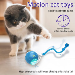 Generic Interactive Cat Toy Ball paw-activation demonstrates touch-driven wake-up play.