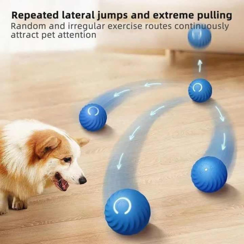 Generic Interactive Dog Ball gift-ready packaging appeals to dog lovers