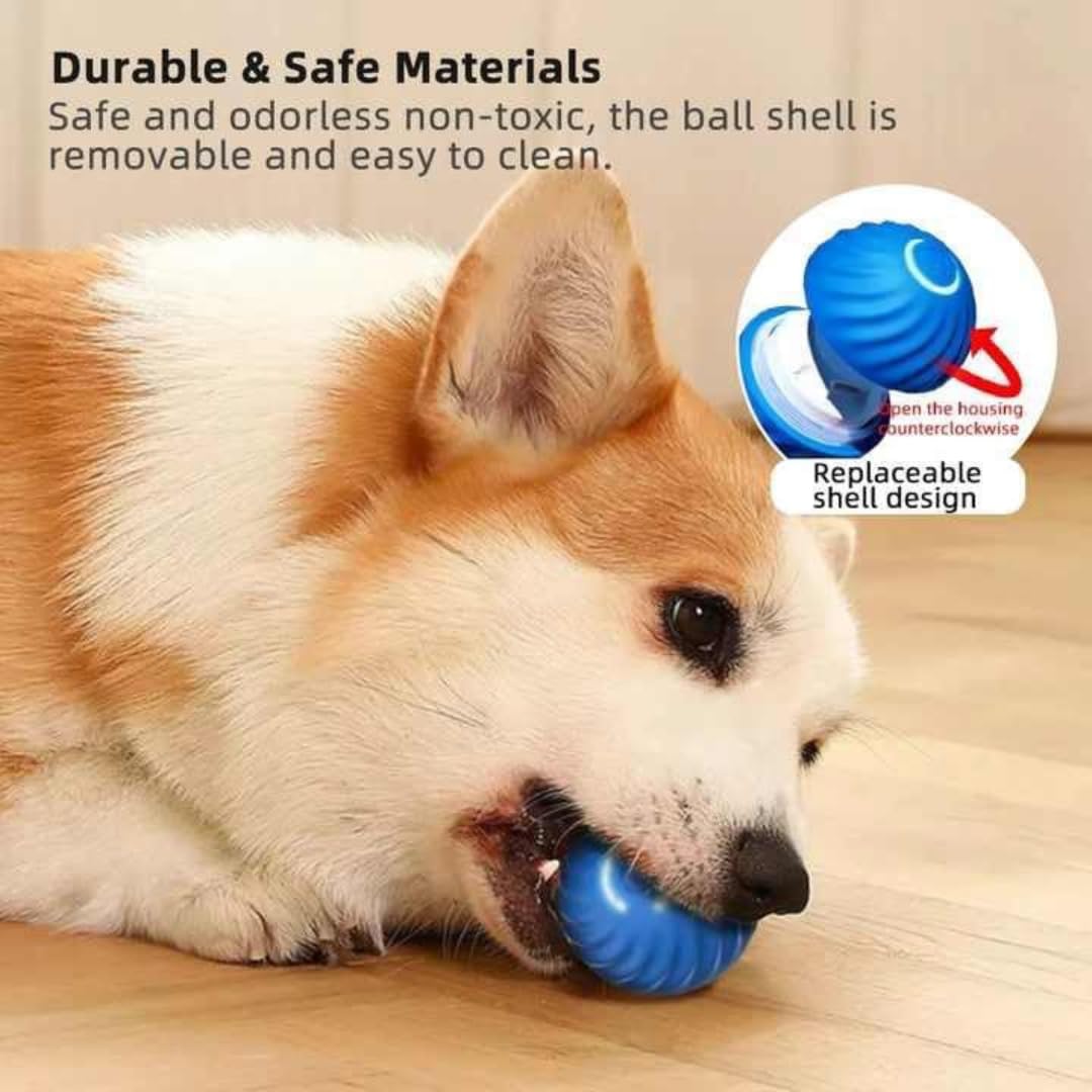 Generic Interactive Dog Ball ideal for small to medium dogs enrichment and activity