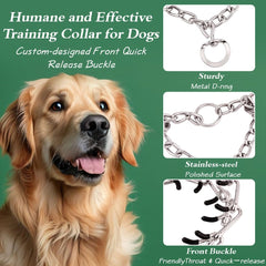 Generic pinch training chain collar shows rugged iron construction for outdoor use.