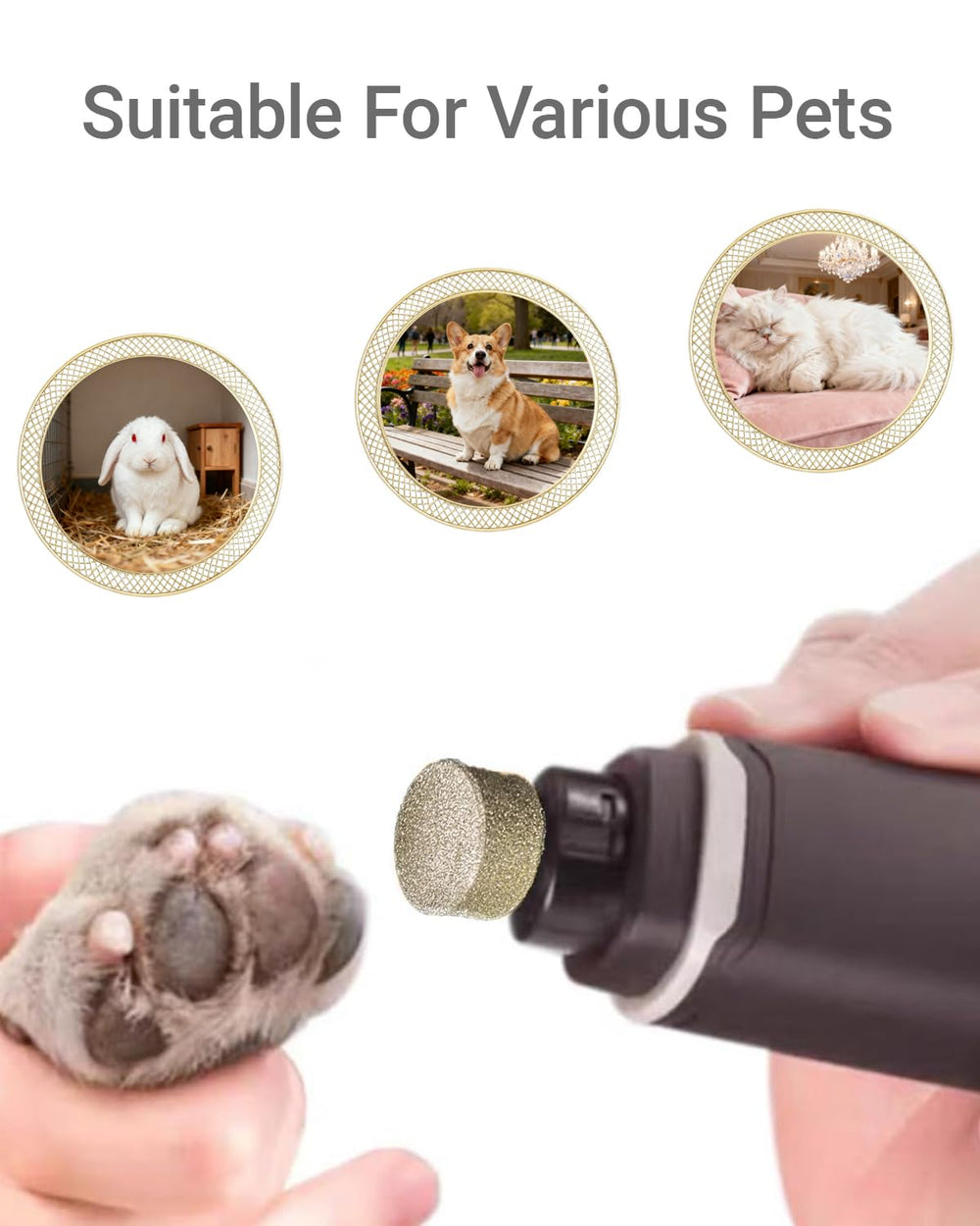 Generic professional spare grinding head packaged as a durable replacement set.