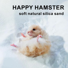 Generic silica sand dust-free image highlights clean, fresh habitat for small pets