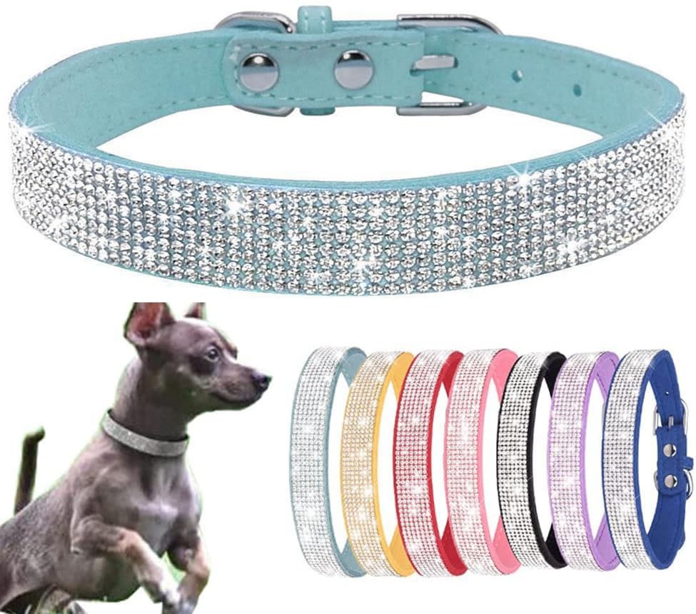 Generic small dog collar bling-band detail for stylish pets and occasions