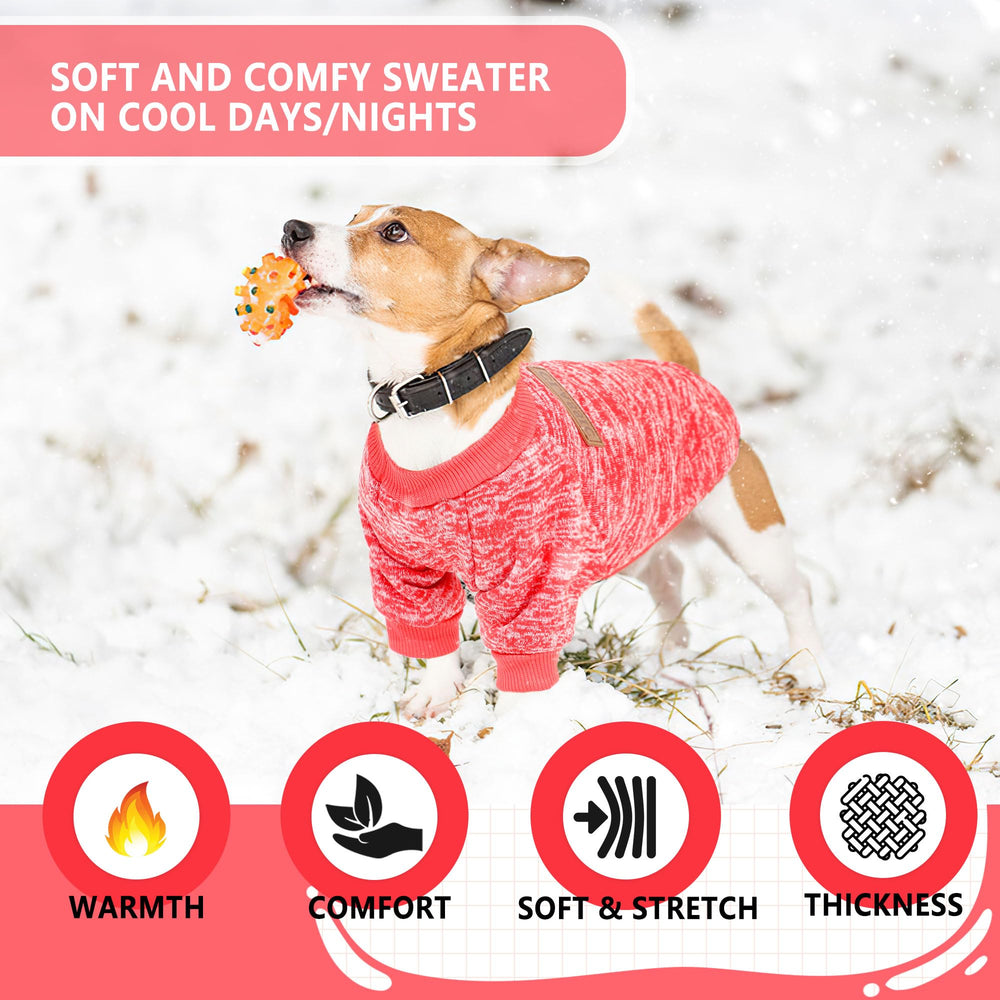 Generic small-dog model wearing sweater demonstrates snug, comfortable fit.
