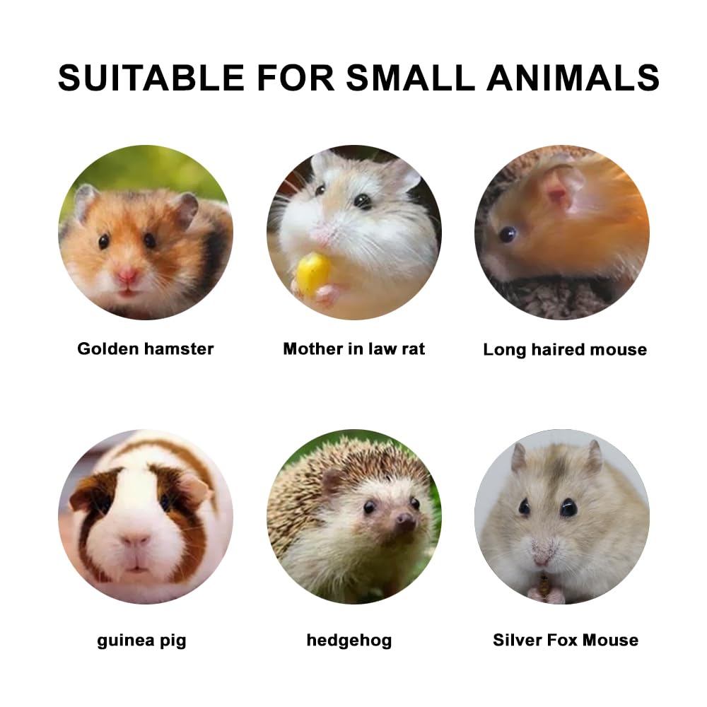Generic small-pets bedding image emphasizes odor control and hygiene benefits