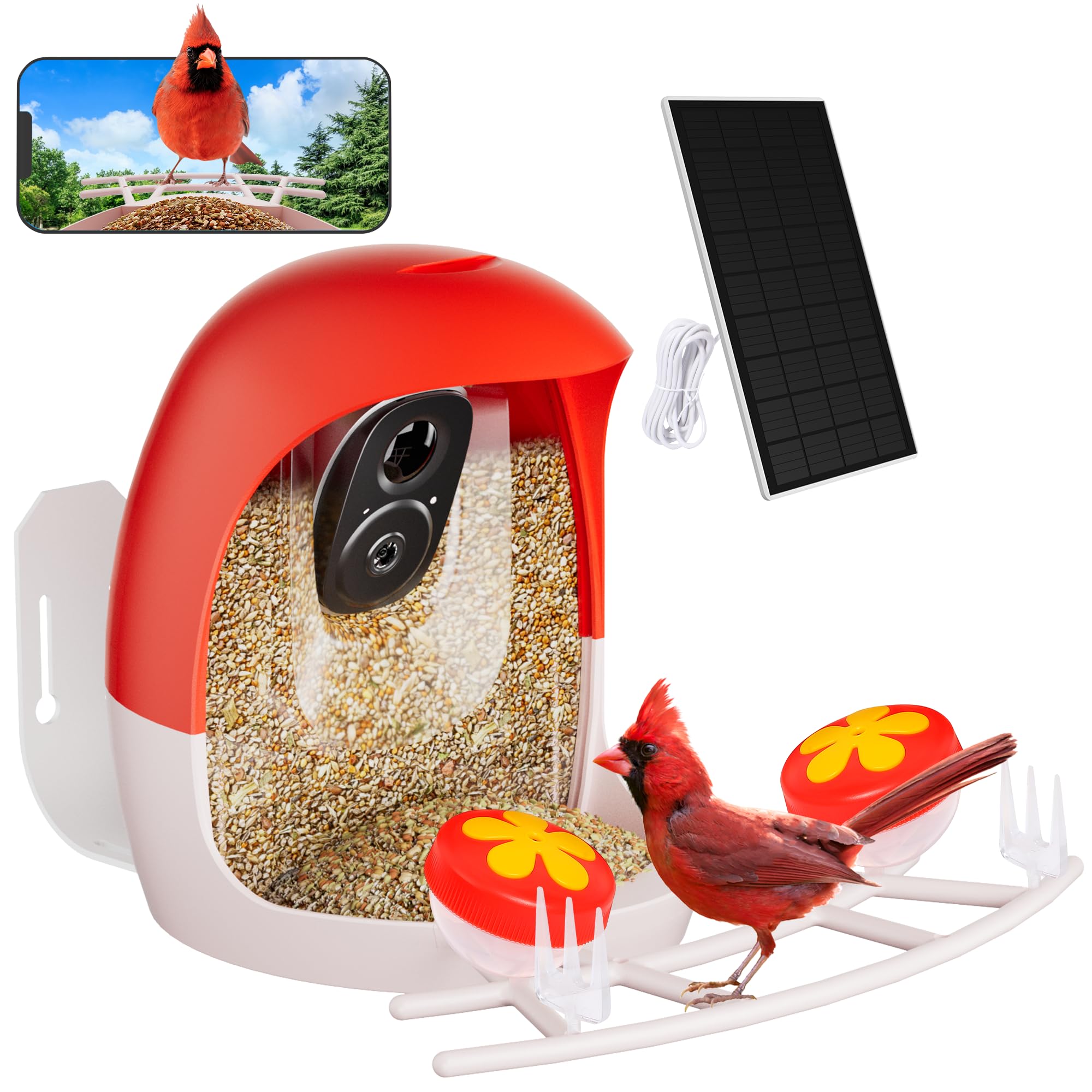 Generic Smart AI outdoor solar bird feeder camera delivers 2K detail for backyard birds.